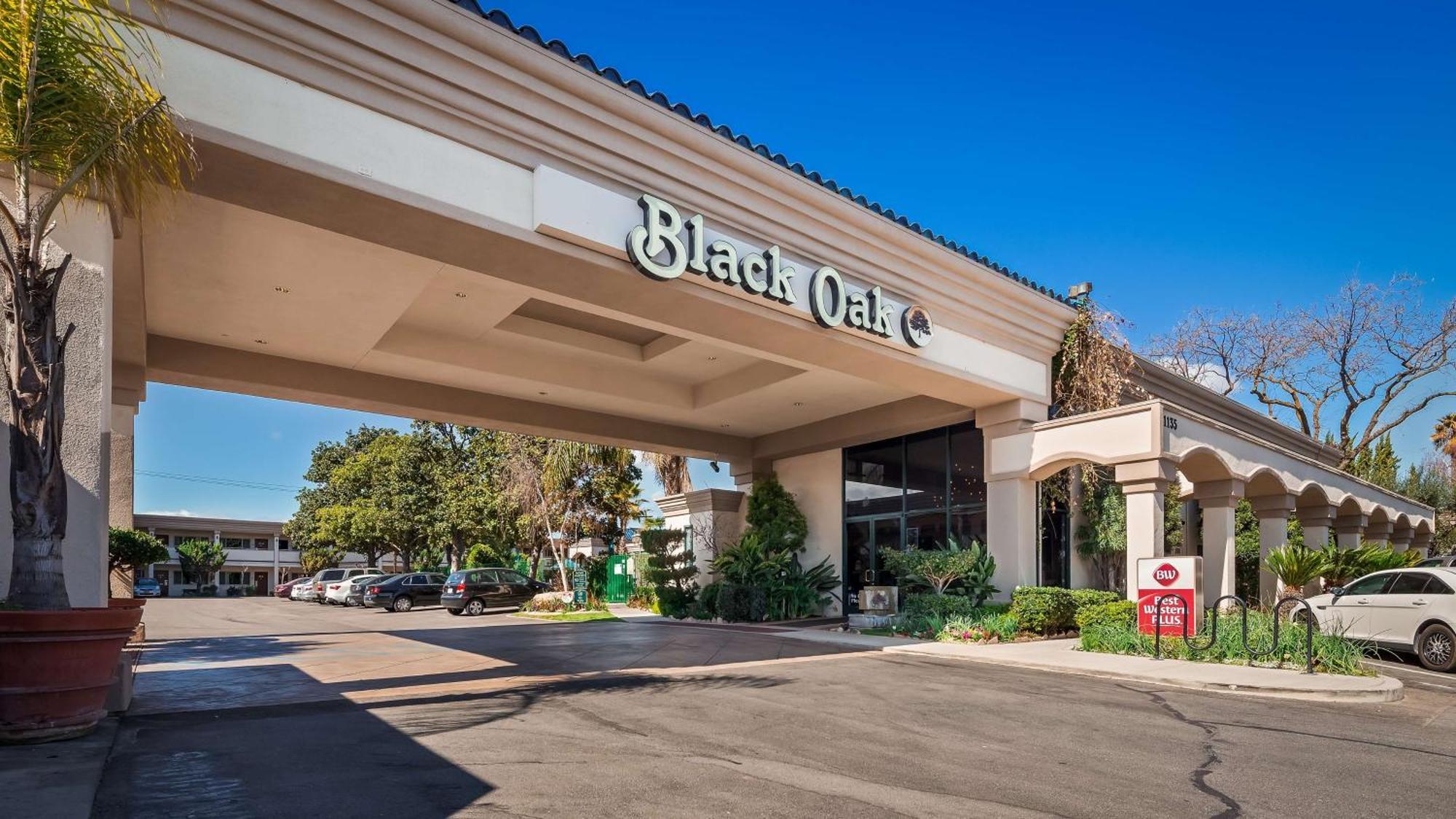 פאסו רובלס Best Western Plus Black Oak מראה חיצוני תמונה